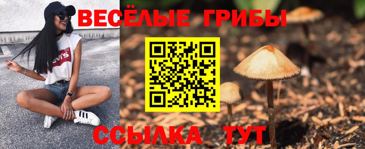 Будённовск  Галлюциногенные грибы Cubensis  где можно купить наркотик  Вход с VPN 
