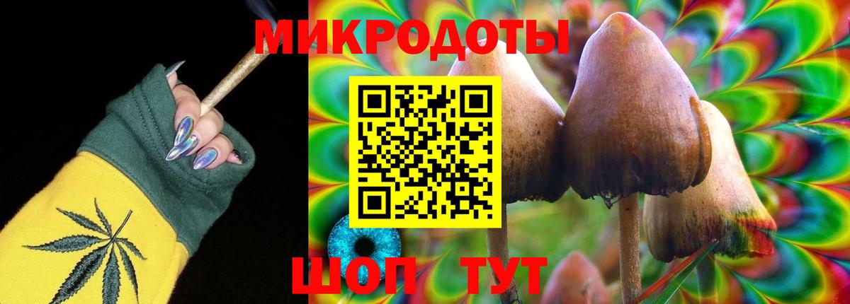Псилоцибиновые грибы мухоморы Будённовск